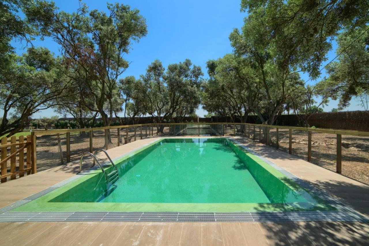 Finca Olivar De La Bardena Guest House Tudela Eksteriør bilde